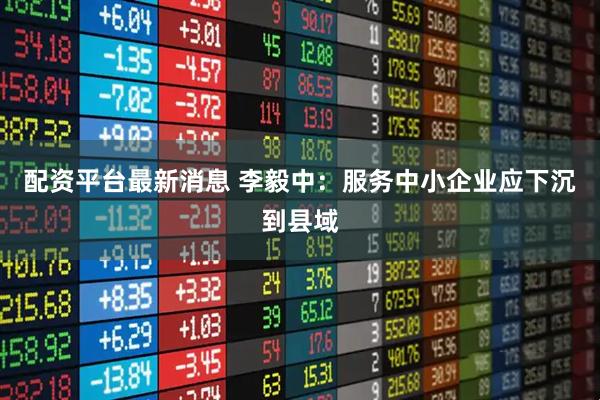 配资平台最新消息 李毅中：服务中小企业应下沉到县域